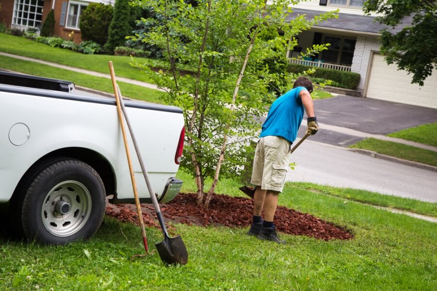 DIY backyard landscaping project